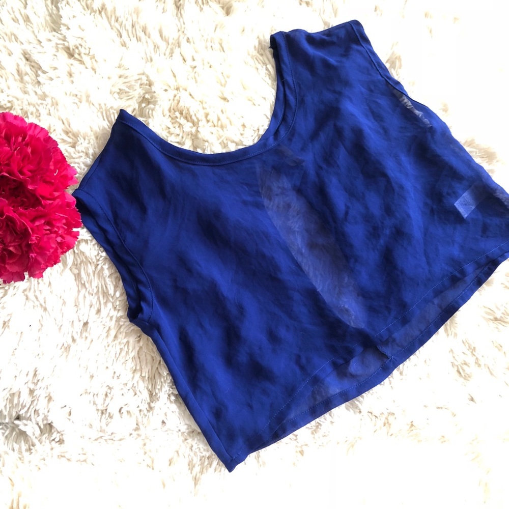 Shear Blue Blouse